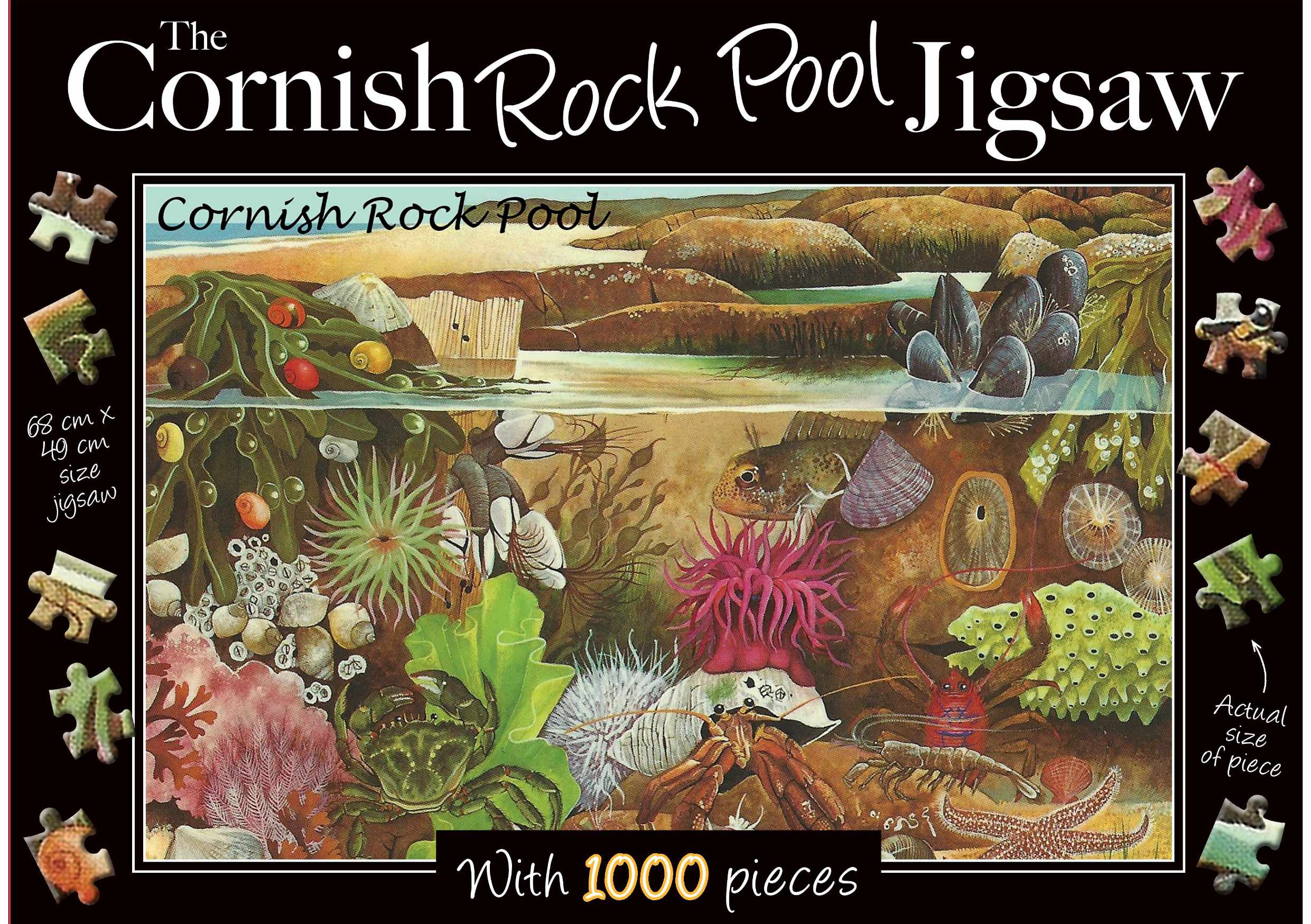 The Cornish Rock Pool 1000 Piece Jigsaw