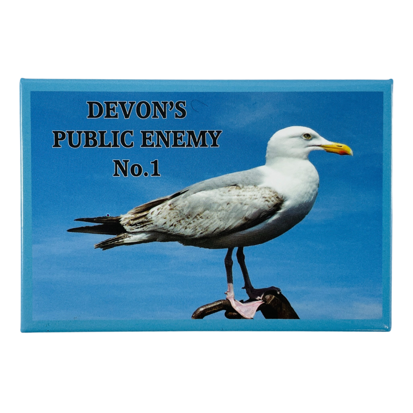 Devon's Public Enemy No.1 Seagull Tin Plate Magnet