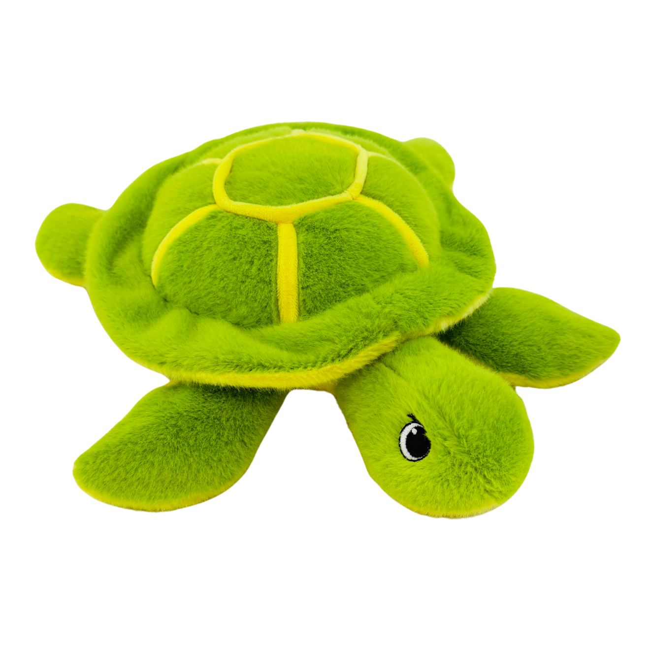 26cm Turtle Eco Plush