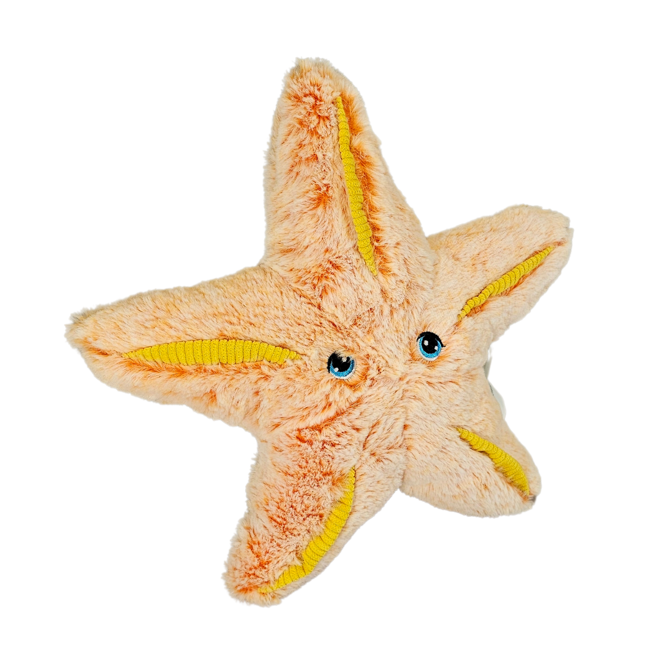 25cm Starfish Eco Plush